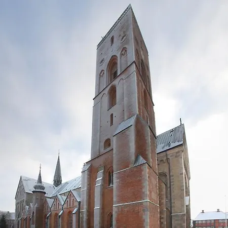 Bed and breakfast Hasse Christensen Ribe